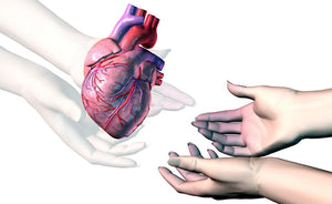 When someone dies- After-death checklist- part 2