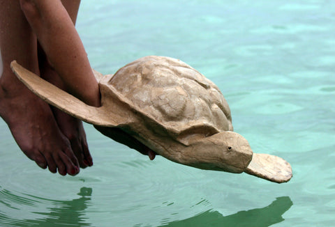 Turtle Water-soluble Urn-Adult - Cherished Urns