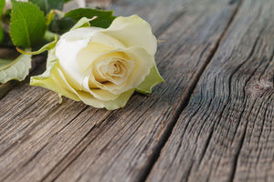 Funeral Flowers and other Expressions of Sympathy