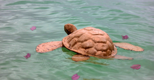 Water burials - two unique and special ways to celebrate one