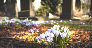 Special days for remembering those who have died