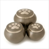 Odyssey Slate, Brass Urn for Pet with One Paw - Small - Cherished Urns