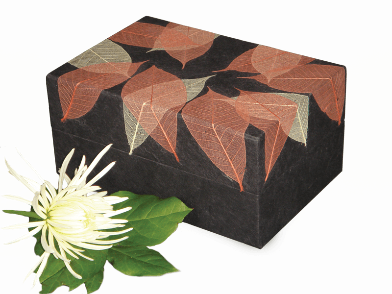 Memory Box Biodegradable Urn- Autumn Leaves - Insert - Cherished Urns