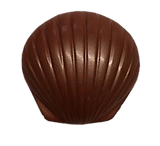 Brass Shell Keepsake Urn - Coral - Cherished Urns