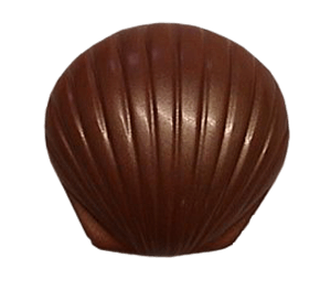 Brass Shell Keepsake Urn - Coral - Cherished Urns