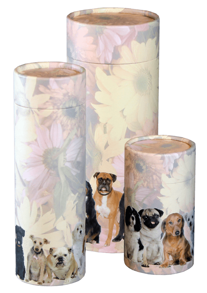 Scattering best sale pet ashes