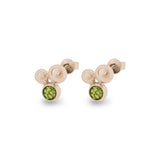Ladies Rondure Array Cremation Ashes Earrings - Cherished Urns