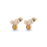 Ladies Rondure Array Cremation Ashes Earrings - Cherished Urns
