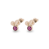 Ladies Rondure Array Cremation Ashes Earrings - Cherished Urns