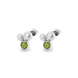 Ladies Rondure Array Cremation Ashes Earrings - Cherished Urns