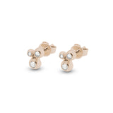 Ladies Rondure Array Triple Cremation Ashes Earrings - Cherished Urns