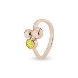 Ladies Rondure Array Cremation Ashes Ring - Cherished Urns