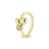 Ladies Rondure Array Cremation Ashes Ring - Cherished Urns