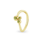 Ladies Rondure Array Triple Cremation Ashes Ring - Cherished Urns