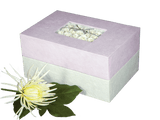 Memory Box Biodegradable Urn- Pink Floral Bouquet - Insert - Cherished Urns