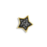 Large Star Cremation Ashes Element for Glass Locket - Cherished Urns