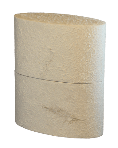 Reflect Earthurn Biodegradable Urn-Extra Large - Cherished Urns