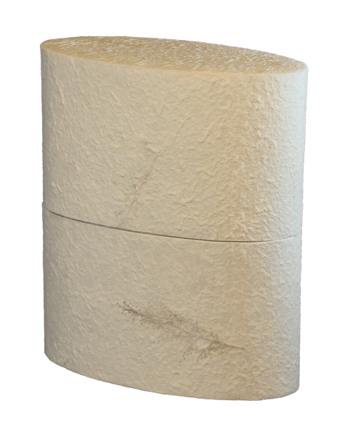 Reflect Earthurn Biodegradable Urn-Extra Large - Cherished Urns