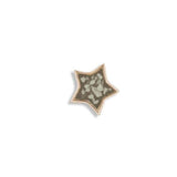 Small Star Cremation Ashes Element for Glass Locket - Cherished Urns