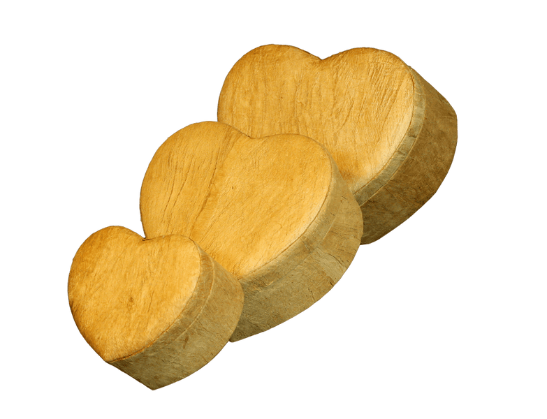 Unity Earthurn Wood-grain - Medium - Cherished Urns