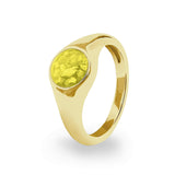 Unisex Pride Memorial Ashes Ring - Cherished Urns